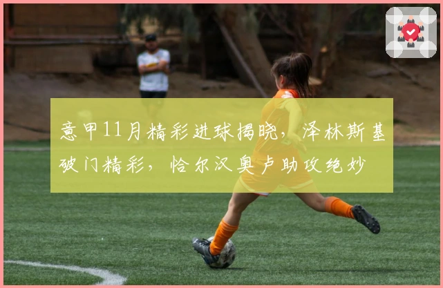 意甲11月精彩进球揭晓，泽林斯基破门精彩，恰尔汉奥卢助攻绝妙